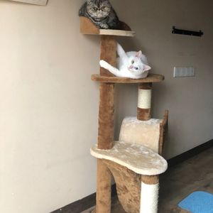 又深又㴬精XXXXX凹凸
